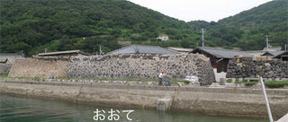 hashimoto3.jpg